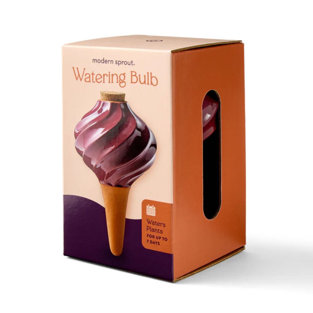 Terra Cotta Watering Bulb – Modern Sprout – Plum